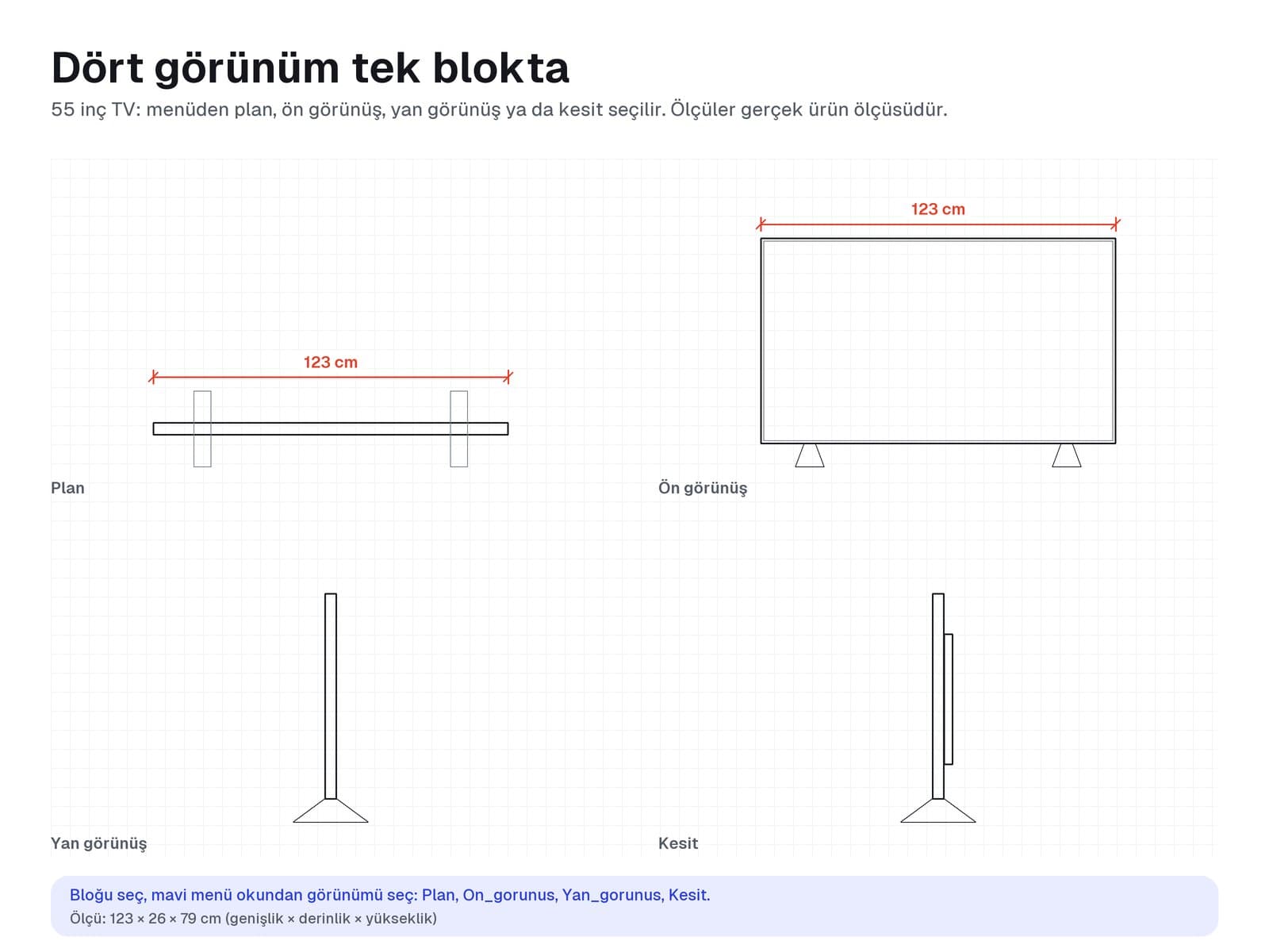 55 inç TV bloğunun plan, ön görünüş, yan görünüş ve kesiti